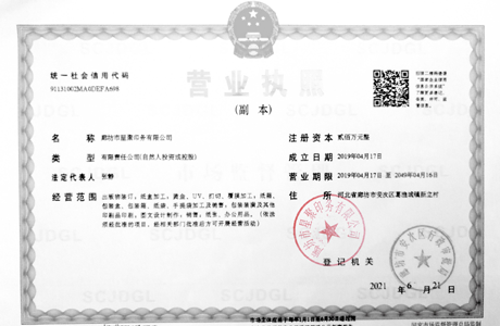Company profile